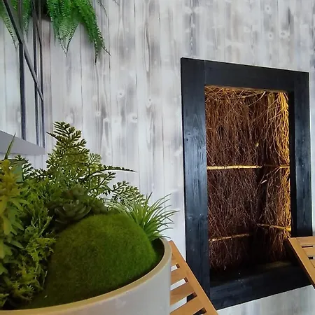 Orman Evi Widokowka *